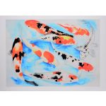 KOI • Limited edition