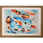 KOI • Limited edition